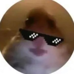 Meet your Posher, Lilly